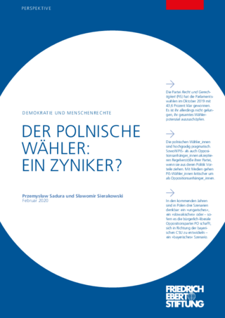 Der polnische Wähler: ein Zyniker?